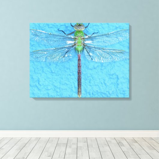 Toile Macro dragonfly verte sur Arrière - plan bleu (Insitu (Plancher de Bois))