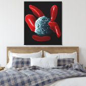 Toile Macrophage (Insitu(Chambre))