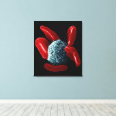 Toile Macrophage (Insitu (Plancher de Bois))