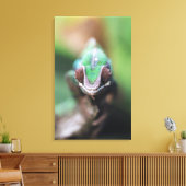 Toile Madagascar, Caméléon panthère à barre rouge (Insitu(Salon))
