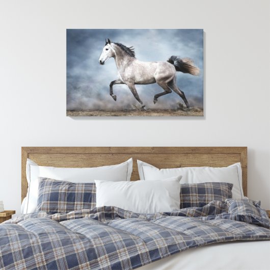 Toile Magnifique Cheval gris Vue spectaculaire Paysage s (Insitu(Chambre))