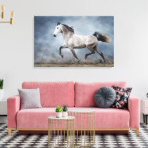 Magnifique Cheval gris Vue spectaculaire Paysage s