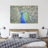 Toile Magnifique Peacock (Insitu(Chambre))