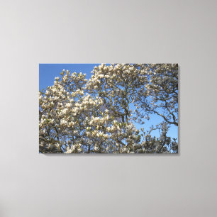 Toile Magnolia