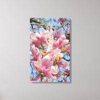 Magnolia