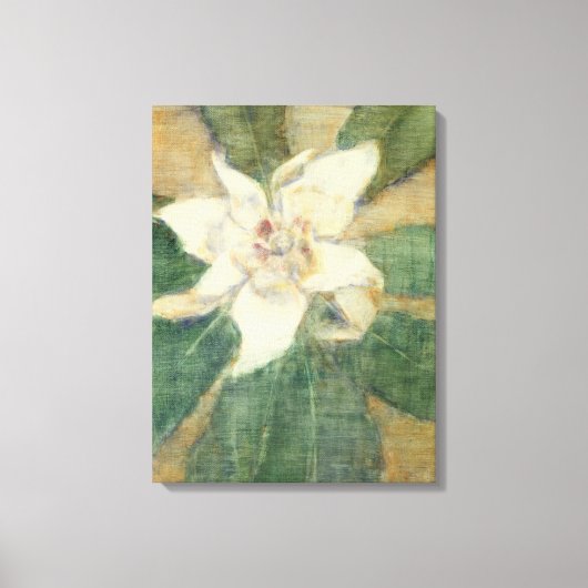Toile Magnolia Grandiflora (Recto)