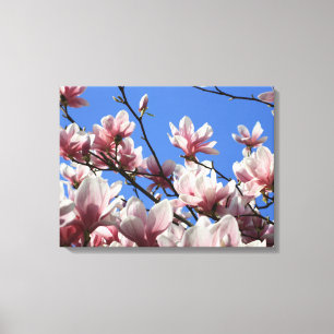 Toile Magnolia rose Art