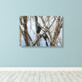 Toile Magpie à bec noir, Colorado (Insitu (Plancher de Bois))