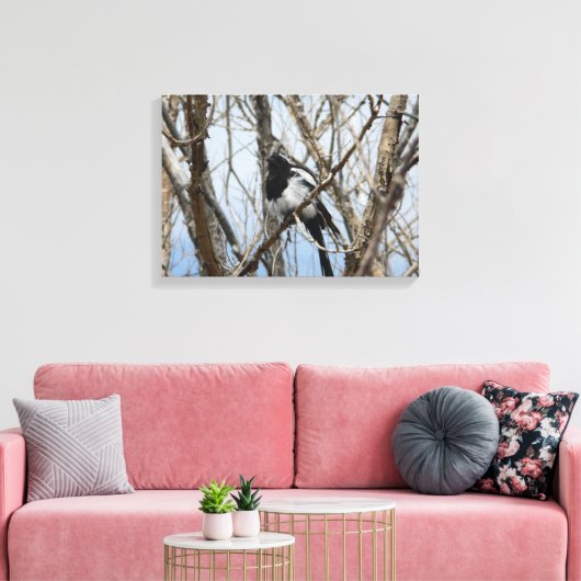 Toile Magpie à bec noir, Colorado (Insitu(Salon))