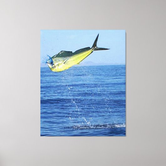 TOILE MAHI MAHI (Recto)