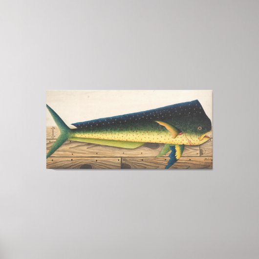 Toile Mahi-Mahi Fish artwork (Recto)
