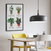 Toile Main Drake House Plante Wall Art