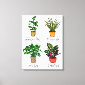 Toile Main Drake House Plante Wall Art (Recto)