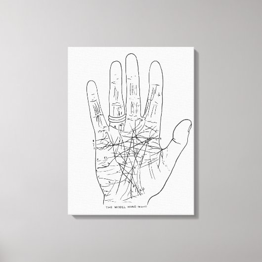 Toile Main modèle (Recto)