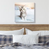Toile Maine Coon Kitten (Insitu(Chambre))