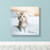 Toile Maine Coon Kitten (Insitu (Plancher de Bois))