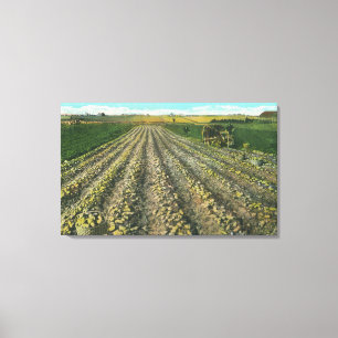 Toile MaineView d'une ferme de pomme de terre au Maine