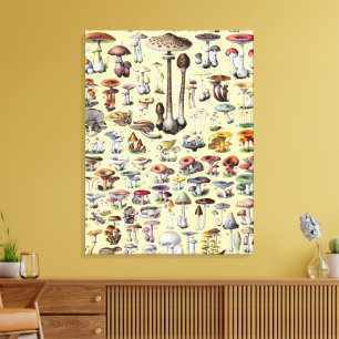 Toile Maisonnette Champêtre Vintage aux Champignons Bota