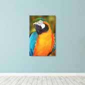 Toile Majestic Macaw (Insitu (Plancher de Bois))