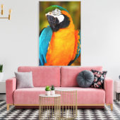Toile Majestic Macaw (Insitu(Salon))