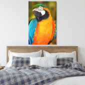 Toile Majestic Macaw (Insitu(Chambre))