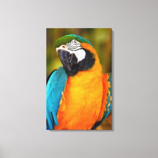 Toile Majestic Macaw (Recto)