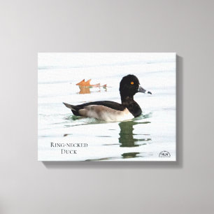 Toile mâle Anneau-étranglé de canard
