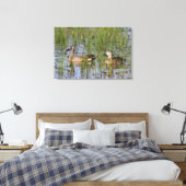 Toile mâle et femelle Turquoise à ailes bleues dans les  (Insitu(Chambre))