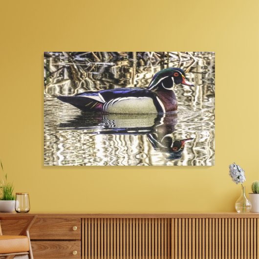 Toile Male wood duck swimming in pond canvas print (Insitu(Salon))