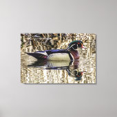 Toile Male wood duck swimming in pond canvas print (Recto)