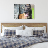Toile Malinois belges souriants (Insitu(Chambre))