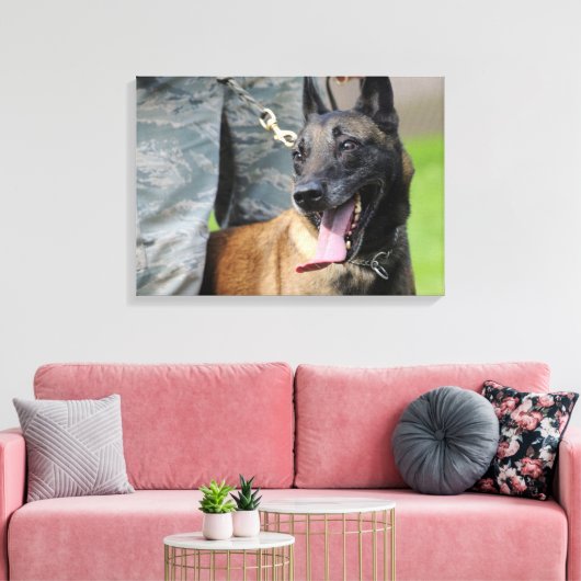 Toile Malinois belges souriants (Insitu(Salon))
