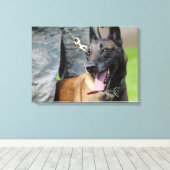 Toile Malinois belges souriants (Insitu (Plancher de Bois))