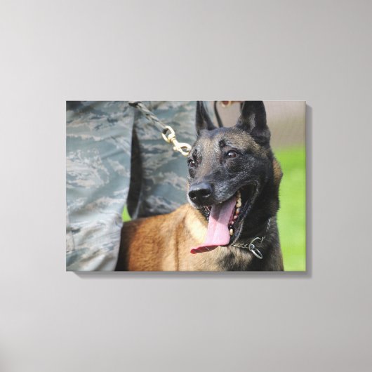 Toile Malinois belges souriants (Recto)