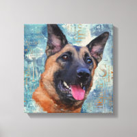 Malinois - Berger belge - Mechelaar