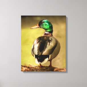 Toile Mallard Duck