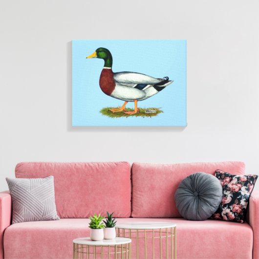 Toile Mallard Duck Drake (Insitu(Salon))