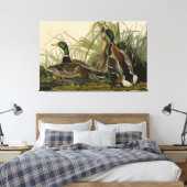 Toile Mallard Duck from Audubon's Birds of America (Insitu(Chambre))