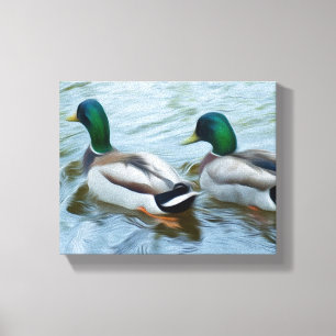 Toile Mallard Ducks