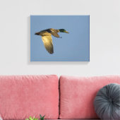 Toile Mallard Flying in Open Sky Wrapped Canvas Imprimer (Insitu(Salon))