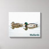 Toile Mallards (Recto)