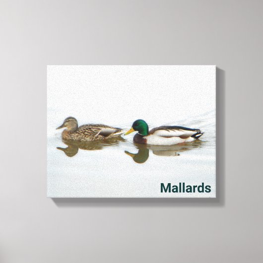 Toile Mallards (Recto)
