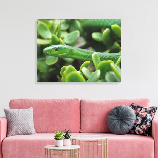 Toile Mamba verte orientale (Dendroaspis Angusticeps) (Insitu(Salon))