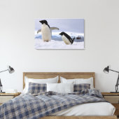 Toile Manchots Adélie Antarctique (Insitu(Chambre))