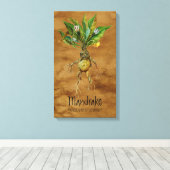 Toile Mandrake Plante magique 1 12,84'' x 21,93'' (Insitu (Plancher de Bois))