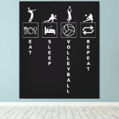 Toile Manger Dormir Volleyball Répéter (Insitu (Plancher de Bois))