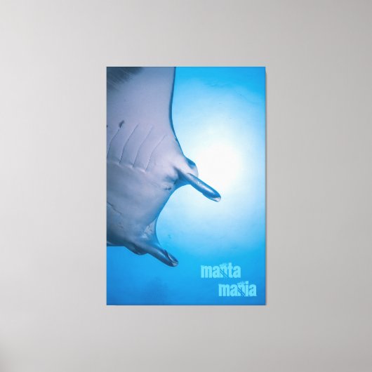 Toile Manta (Recto)