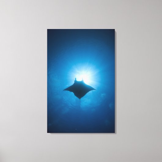 Toile Manta nage sous-marine (Recto)