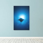 Toile Manta nage sous-marine (Insitu (Plancher de Bois))