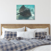 Toile MANTA RAY SUR CANVAS 20 "x 16" (Insitu(Chambre))
